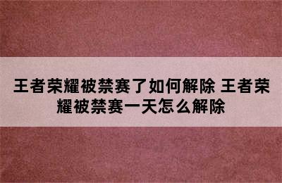 王者荣耀被禁赛了如何解除 王者荣耀被禁赛一天怎么解除